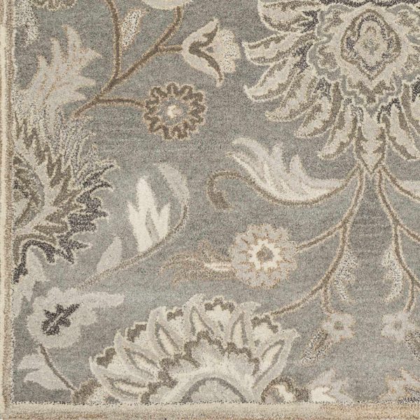 Sample Conesus Hand Tufted Ivory & Taupe 1195 Area Rug Fashion